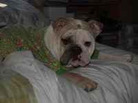 pj time.webp