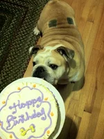 photo-150.webp