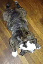 IMG_1161[1].webp