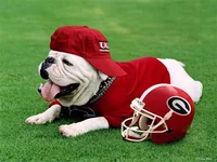 uga pic.webp uga pic.webp
