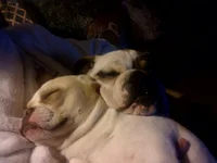 IMG_20130402_213030.webp