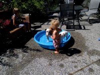 IMG_20130724_145230.jpg