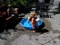 IMG_20130724_145230.webp