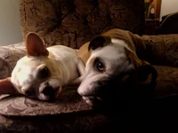 IMG_20130413_211311.webp