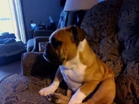 IMG_20130317_081933.webp
