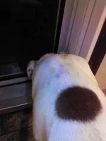 IMG_20130809_204712.webp
