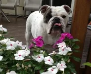 lucecropped.webp
