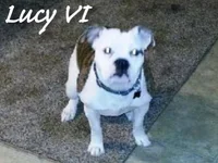 1374178330_lucyandvi.webp
