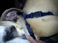 20130725_201848.webp