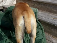 20130615_082712.webp