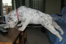 LucyReach.webp