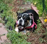 DSC_0029.webp