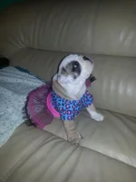 20130704_130126.webp