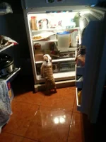 20130803_200356.webp