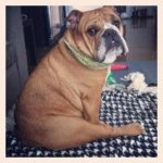 hank eb hbr.jpg hank eb hbr.jpg