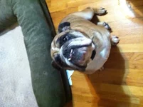 image.webp