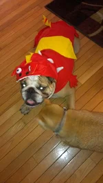 IMAG0371.webp
