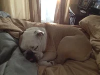 image.webp