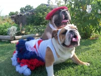 100_4780.webp 100_4780.webp