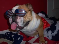 100_4882.webp 100_4882.webp