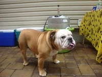 chumkeg.webp