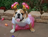 IMG_2020 (2).webp IMG_2020 (2).webp