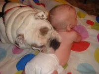 diesel and baby.webp