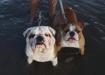 DSCF0194.webp