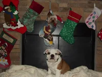 DSCF2479.webp