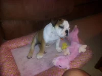 20130809_200633.webp