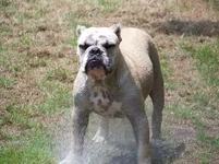 100_0536.webp