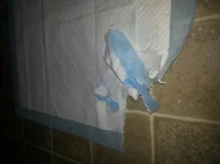 20130811_151320.webp