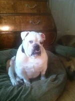 sophie.webp