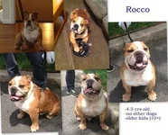 rocco.webp