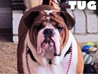 1375028504_tug.webp