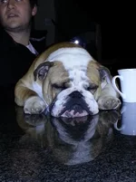 20120809_222028.webp