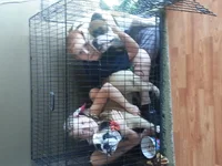 20130916_164152.webp