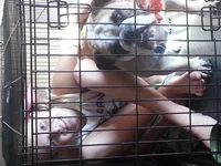 20130916_164048.webp