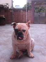 IMG_20130723_110619.webp