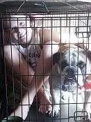 kids in a cage 2.webp