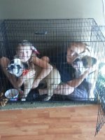 kids in a cage 1.jpg