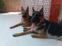 IMG_20120524_123047.webp