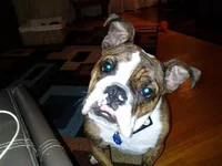 0806132030.webp