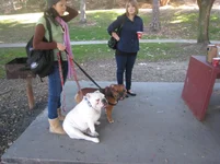 Brand 027.webp Brand 027.webp