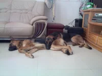Relaxing at Home.webp