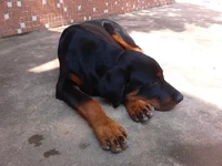IMG_20121105_111035.webp
