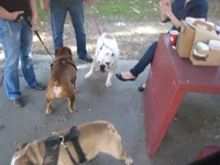 Brand 034.webp Brand 034.webp