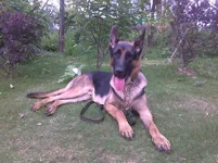8 Months Old.webp