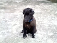 4 Months Old.webp