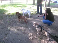 Brand 040.webp Brand 040.webp